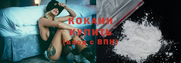стафф Алзамай