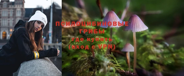 дживик Нея