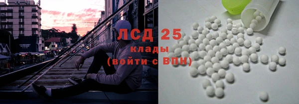 ПСИЛОЦИБИНОВЫЕ ГРИБЫ Алексеевка