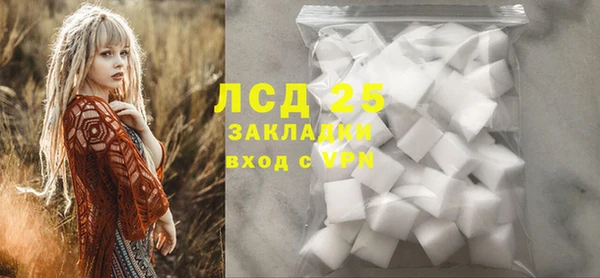 стафф Алзамай