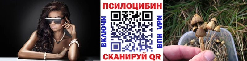 Псилоцибиновые грибы ЛСД где найти наркотики гидра онион Спасск-Рязанский